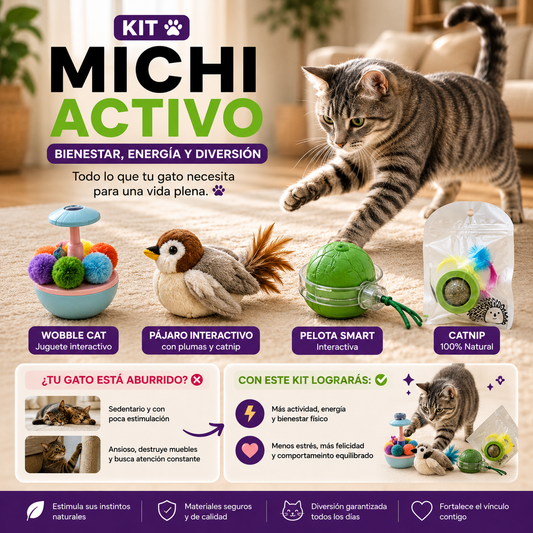 Kit Michi Activo